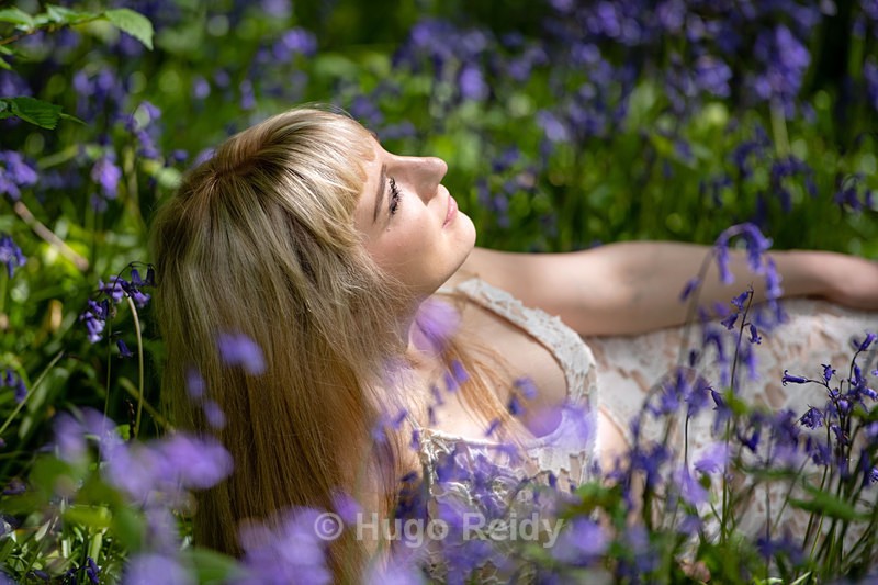  - Dalilah in Bluebells