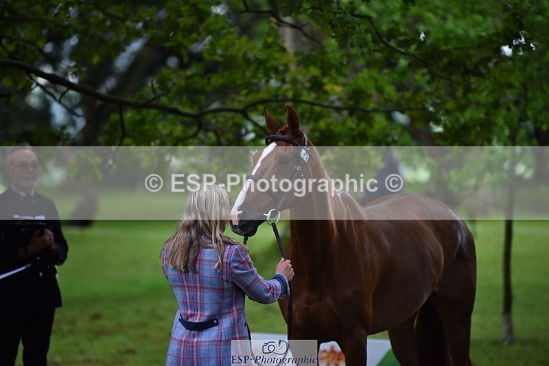 240522-161614-00825 - 166-MEXICAN_LAW-Isabelle_Cook