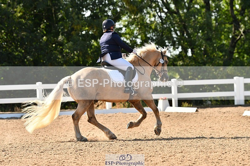 250817-161903-11548 - 216-Chloe.WaltonHaytors.Lord.of.the.Dance