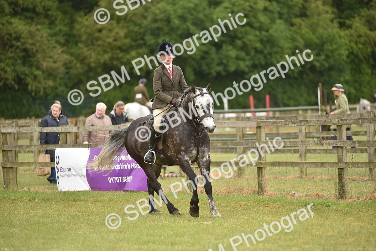 SBM_12106 - Class 110-112 - LIHS BSPS Performance Pones