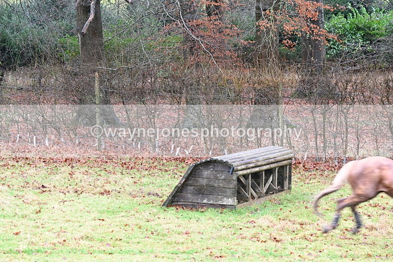 WJ6_4366 - Camera 2