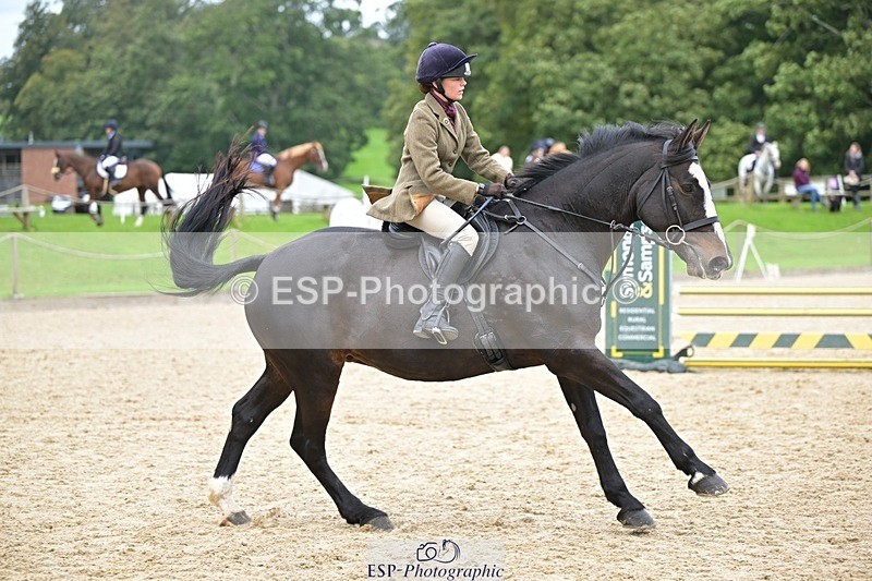 240929-121612-00570 - Cls 2 80-85cm 12.15 to End