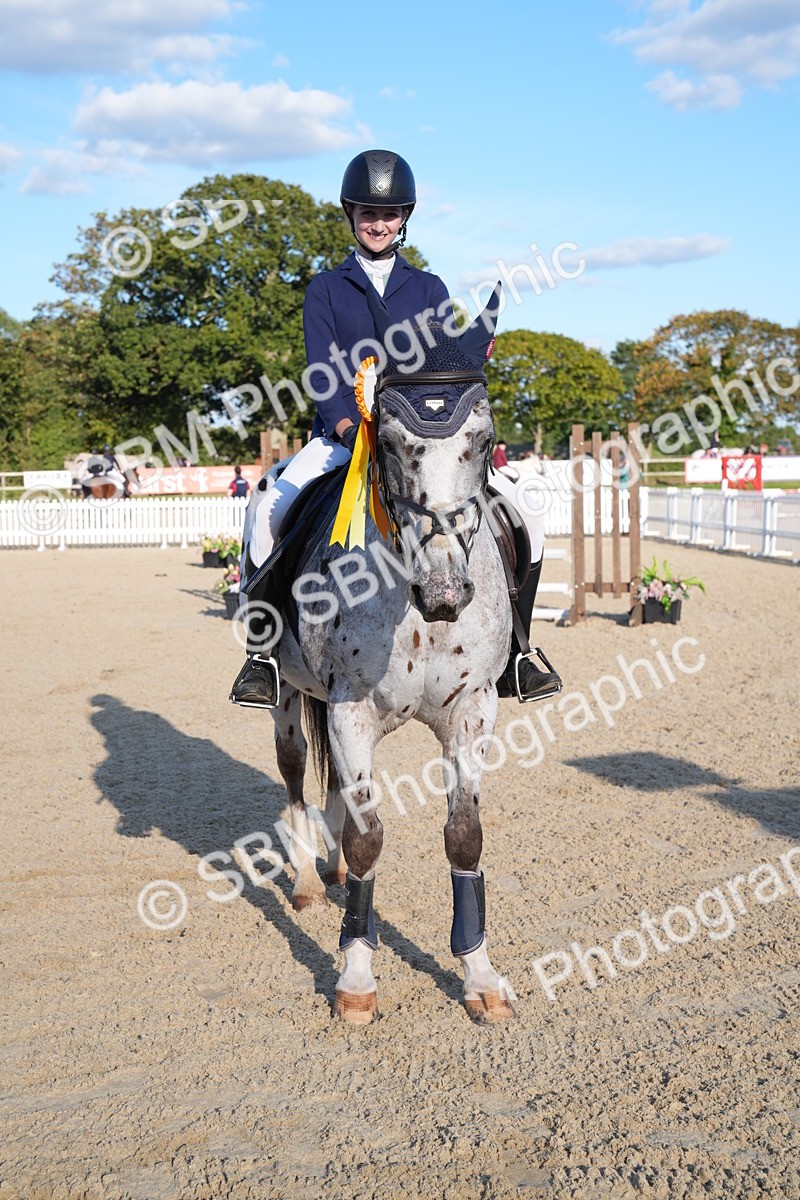 SBM_28046 - J43 - Super Speedy Scurry Open - 60cm