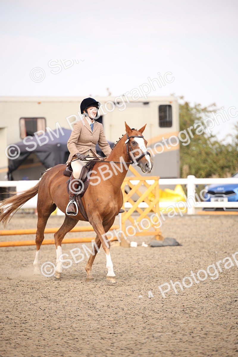 SBM_13593 - Class 406b - Working Veteran 50cm (20+)