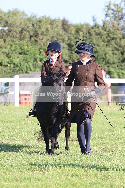 JPP_0861 - Class 16: Cornish Combination Leading Rein