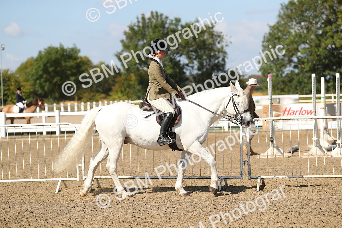 SBM_03110 - Class 44 Riding Club Horse/ Pony