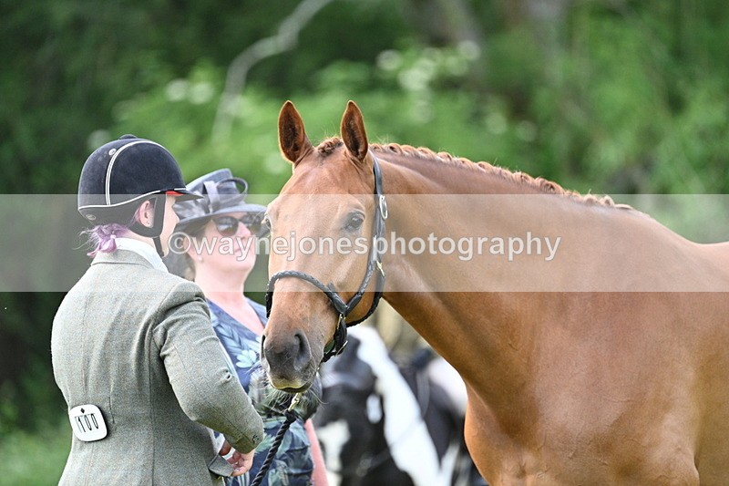 WJ7_1456 - Class 11 Condition & Turnout