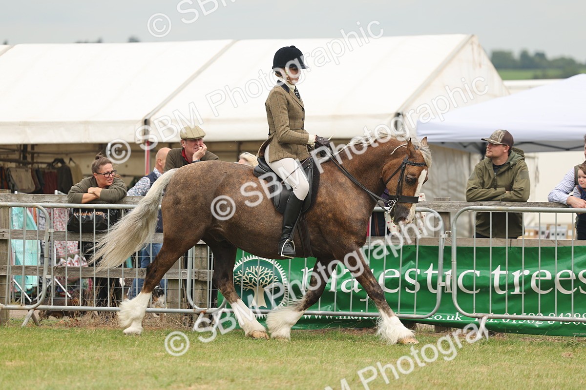 SBM_07181 - Class 76-77 - Ridden M&M Welsh Ponies