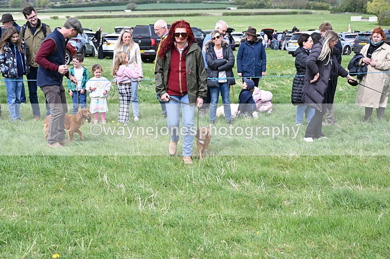 WJ6_8325 - Class 4 Prettiest Bitch