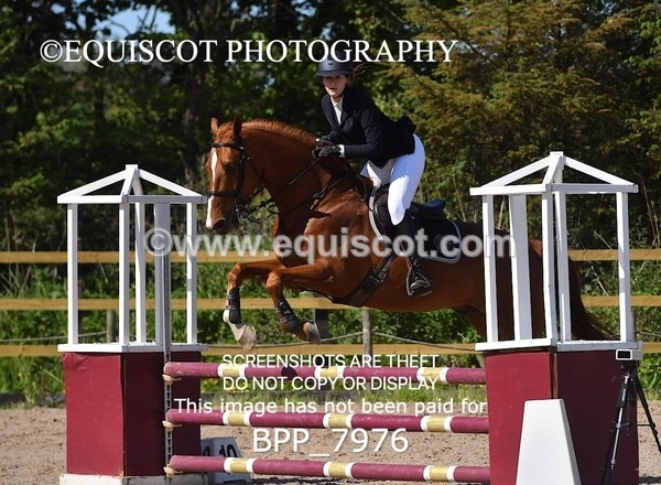 BPP_7976 - CLASS 2 Club/ Unaffiliated 80cms Open