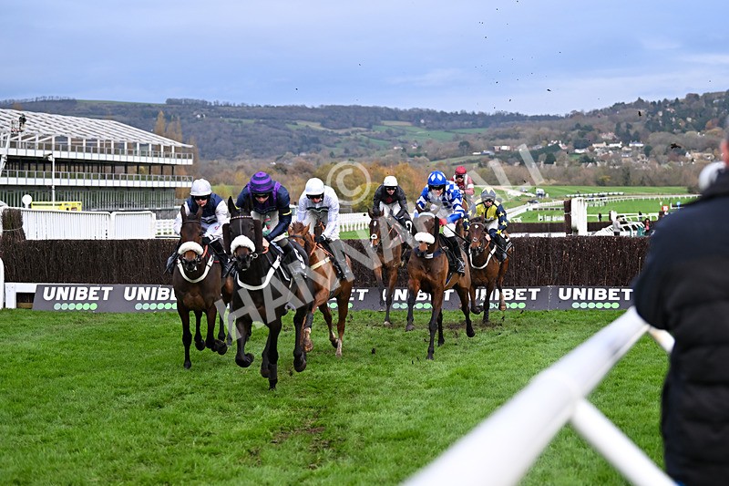 171124-Race 4-Does He Know-3483 - Race 4