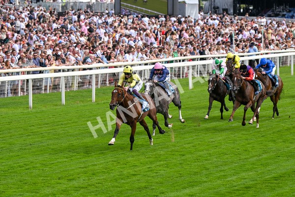 280625-Race 4-Hankelow-0497 - Race 4 3.40pm Al Basti Equiworld Dubai Novice Stakes