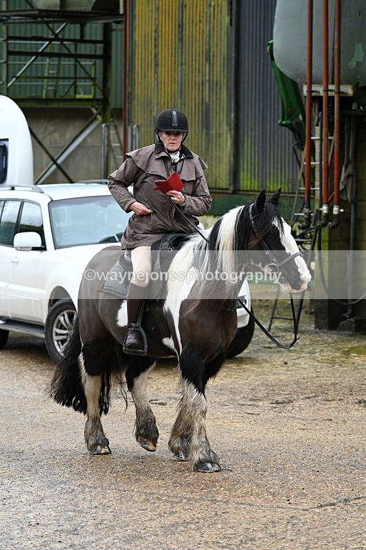 WJ7_8753 - Berks & Bucks - Rowles Farm 15-02-26