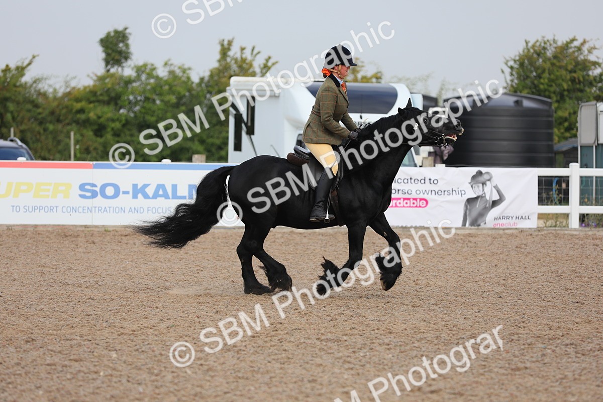 SBM_10019 - Class 302 Ridden M&M -Large Breeds