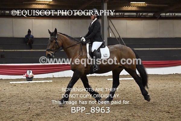 BPP_8963 - NOVICE 6