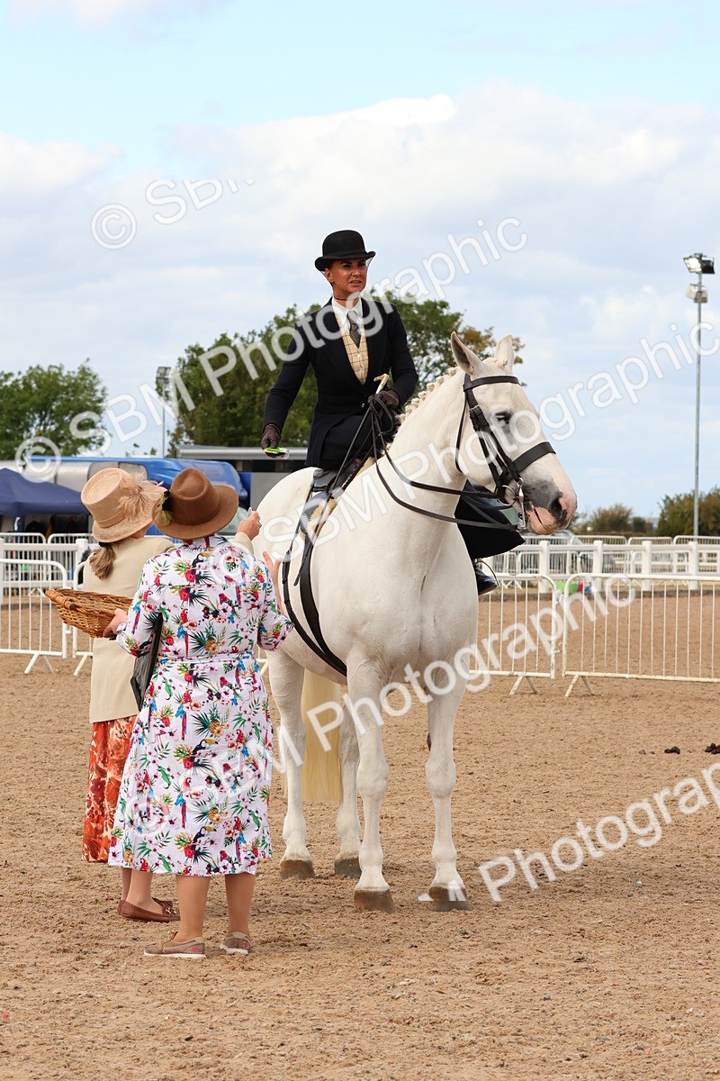 SBM_15912 - Class 216 - Best Side Saddle Horse-Pony