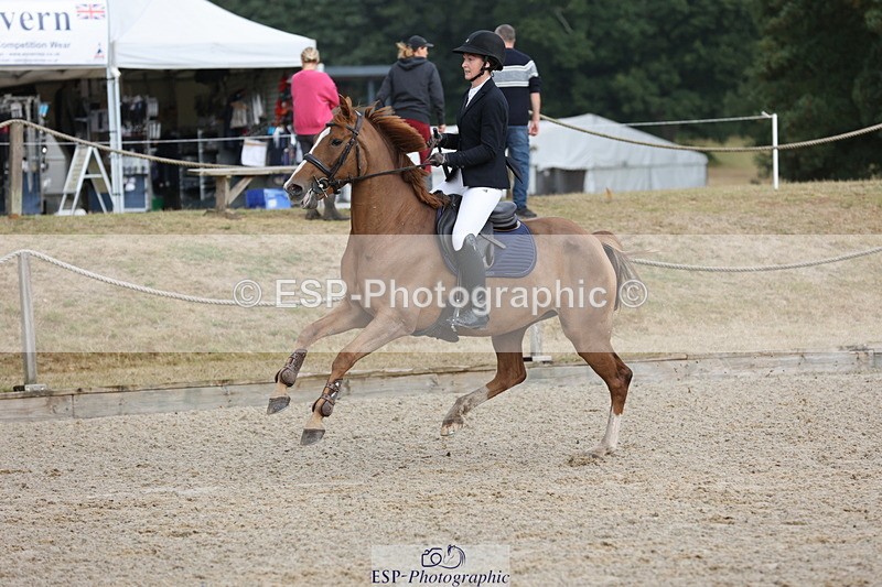 250829A-090651-00144 - Cls 6 85cm Amateur Quali