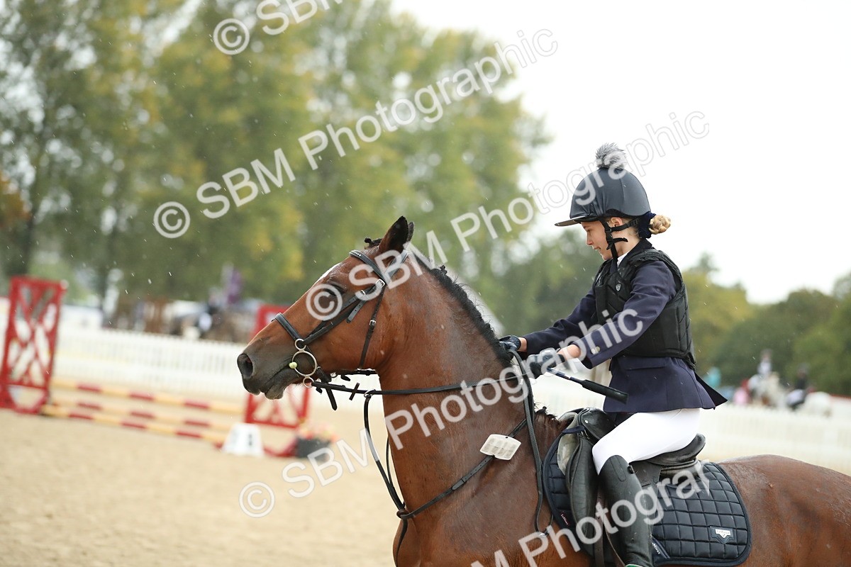 SBM_34313 - J60 Clear Round 50cm