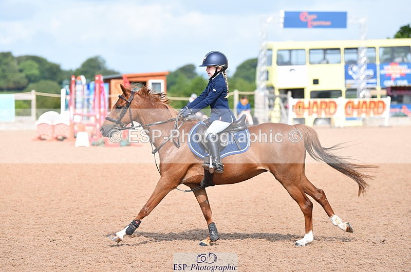 230716A-100520-01957 - Cls 35 Springboard 128cm & 138cm