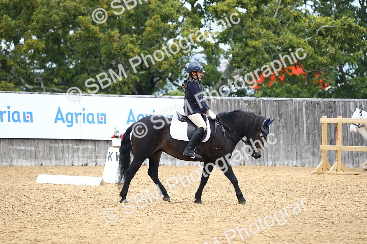 SBM_42716 - D21 - Junior Championship Intro 1