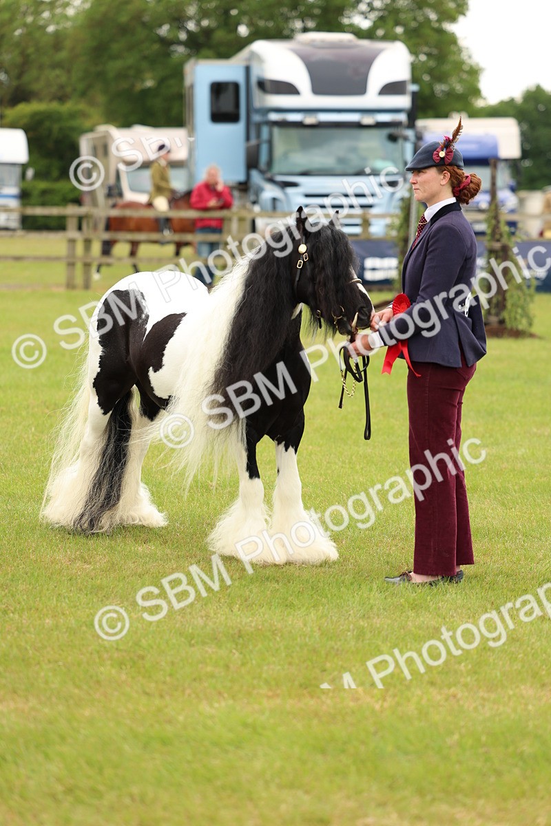 SBM_06347 - Class 39-41 TGCA In Hand and Ridden