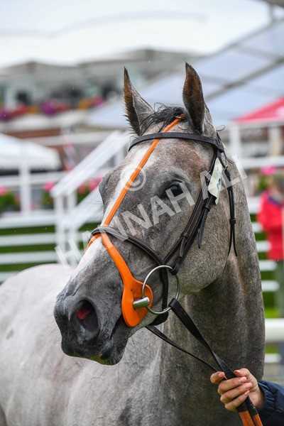 140723-Race 3-Symbology-0325 - Race 3 3.15pm William Hill Keep Your Raceday Positive Irish EBF Fillies' Novice Stakes