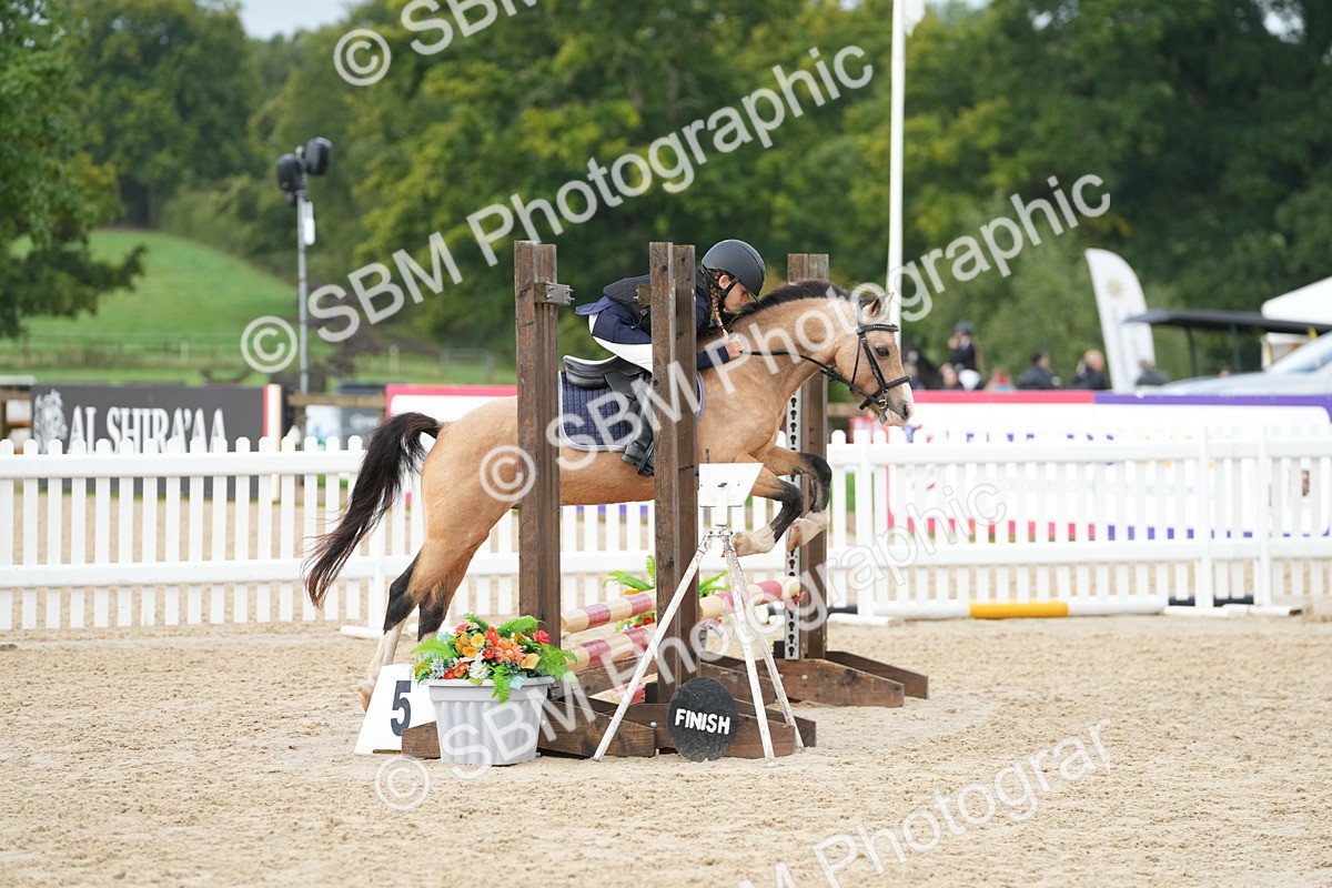 SBM_32344 - J5 - Junior Pony 50cm Championship