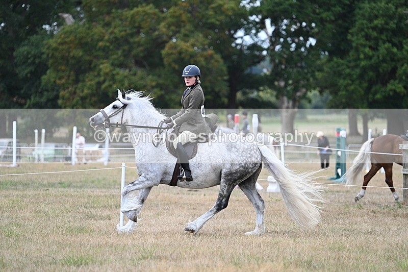 WJ7_5028 - Class 12 Ridden Cob