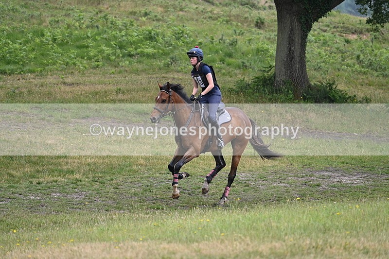 WJ7_9089 - Time 11:14 to 11:22