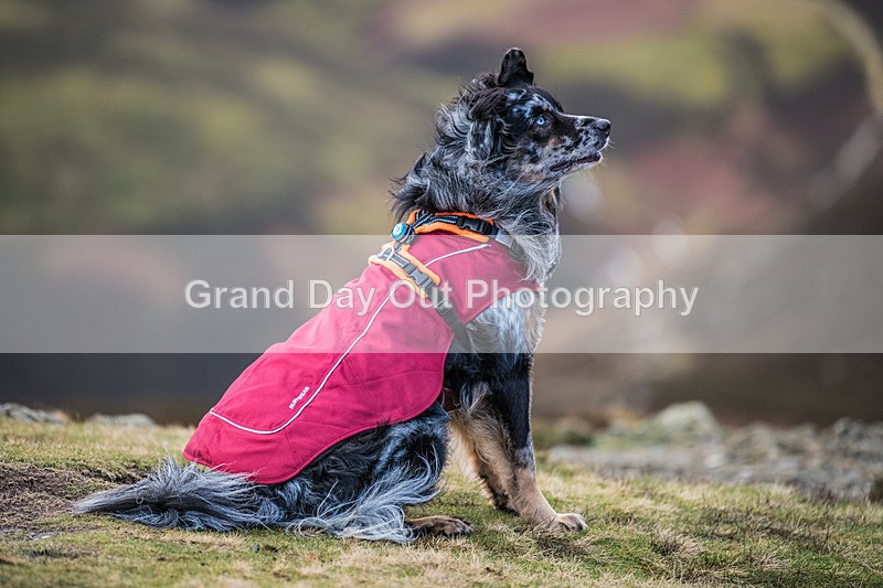 SOB -12 - Kong Running S.O.B.Fell Race Saturday 14th January 2023
