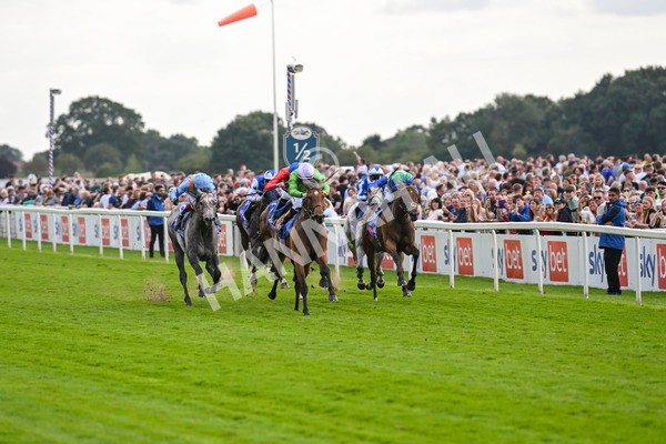 240824-Race 3-Breege-1389 - Race 3 3.00pm Sky Bet City Of York Stakes