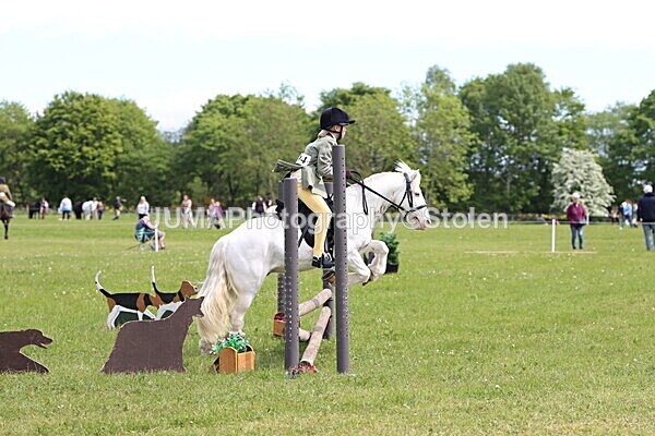 IMG_3016 - Working Hunter