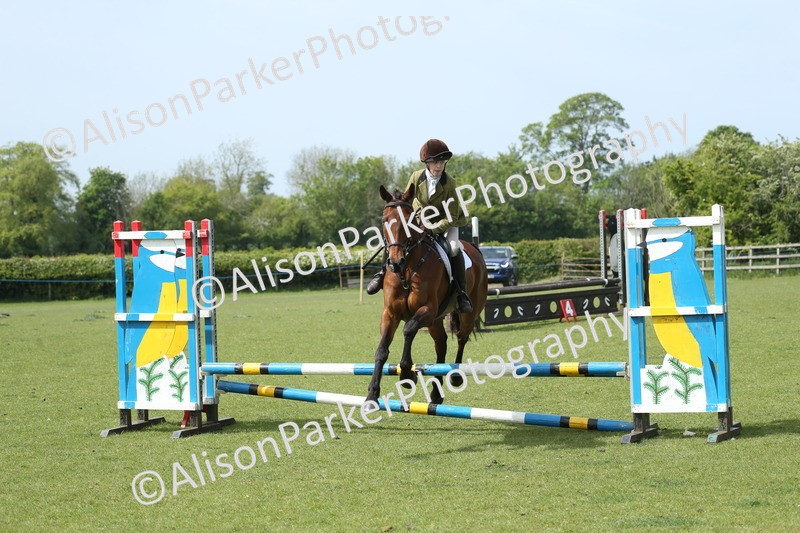 20260426-1798 - Class 14 - Novice 60cm