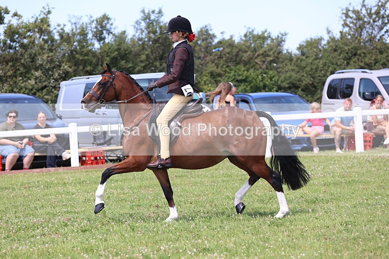 JPP_2643 - Class 21: Working Hunter 60cm