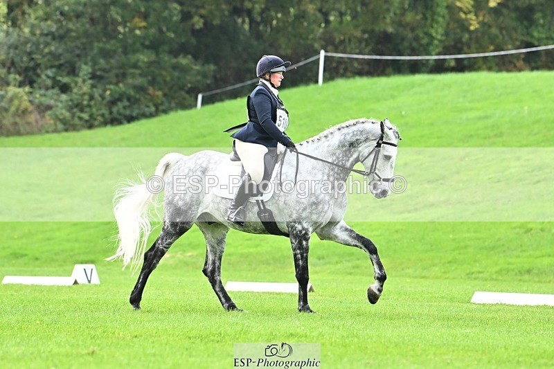 241024-115156-02508 - 510-Kathryn.Virjee-BROWNSTOWNS.SEAWATCH