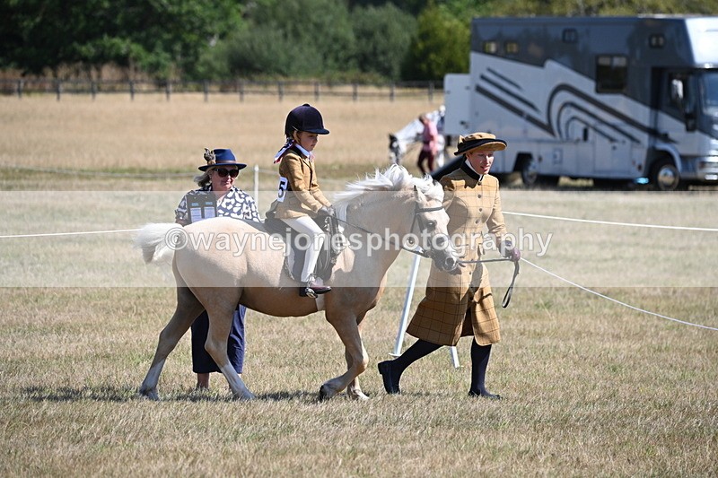 WJ6_7733 - Class 36 Lead Rein