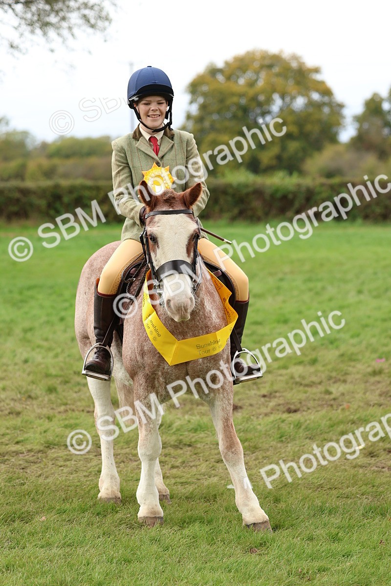 SBM_67562 - S60 - Mini Show Cob Ridden