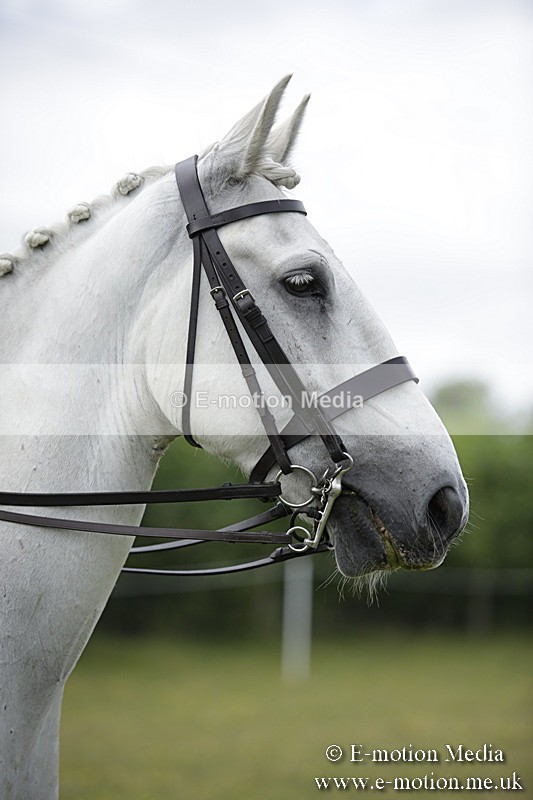 BVR160717-1952 - Side Saddle Classes 16/07/17