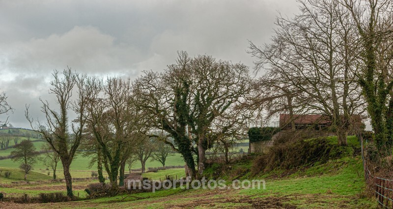  - Old world farm near Dromara