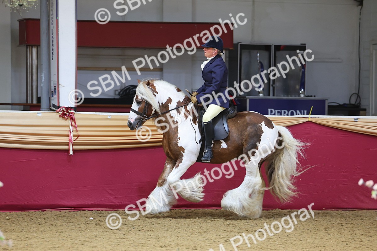 SBM_24615 - Class 906 - Supreme Final - Ridden Pre Vet