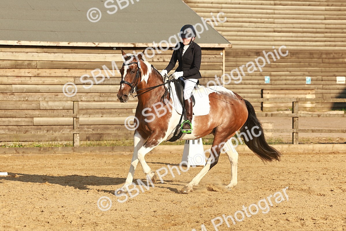 SBM_000517 - Class 7 - Elementary 2