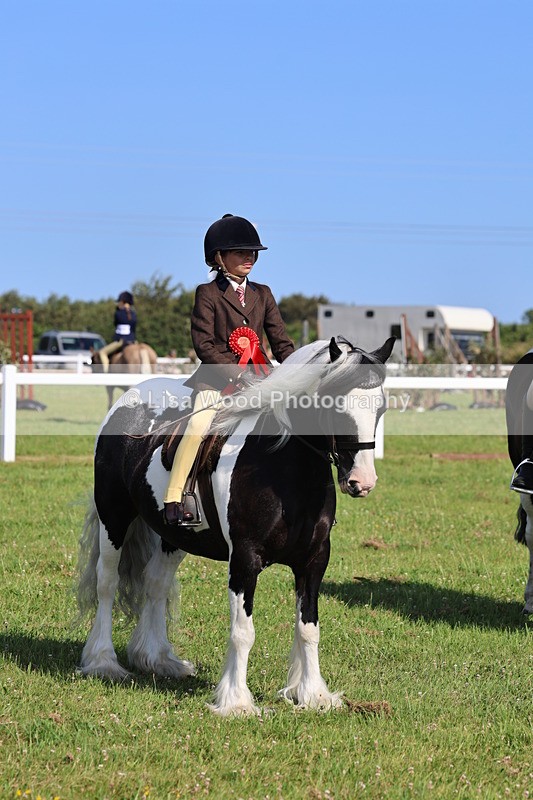 IMG_1671 - Skewbald and Piebald Ridden Championship