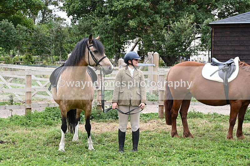 WJ6_2864 - Berks & Bucks - The Old farmhouse - Hound Exercise 20-08-25