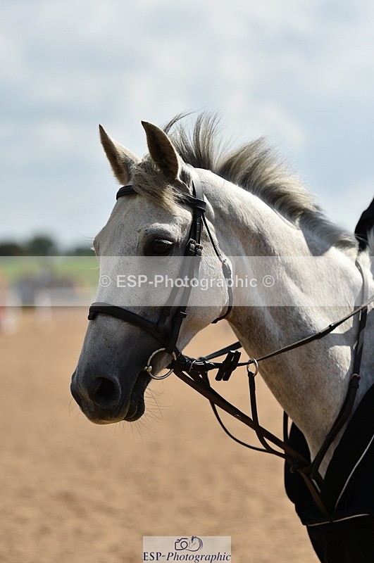 230902A-144550-01800 - Cls 3B Pony Medium 90cm