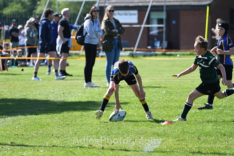  - Selby Rugby Festival 2025