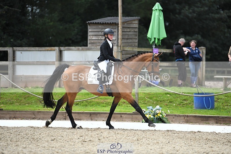 230812-131117-04282 - Cls 6 Novice Silver 12.10 to End