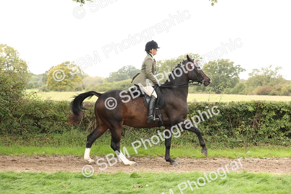 SBM_64222 - S65 - Riding Horse & Hack & Thoroughbred Ridden