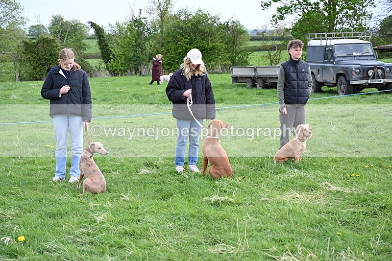 WJ6_8019 - Class 2 Best Pedigree