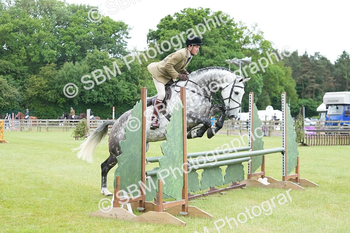 SBM_12608 - Class 97-98 - LIHS BSHA Rising Star Working Show Horse Hunter