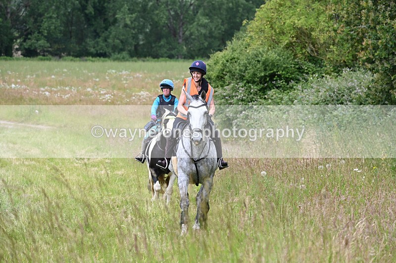 WJ6_8103 - Camera 1 Gallops